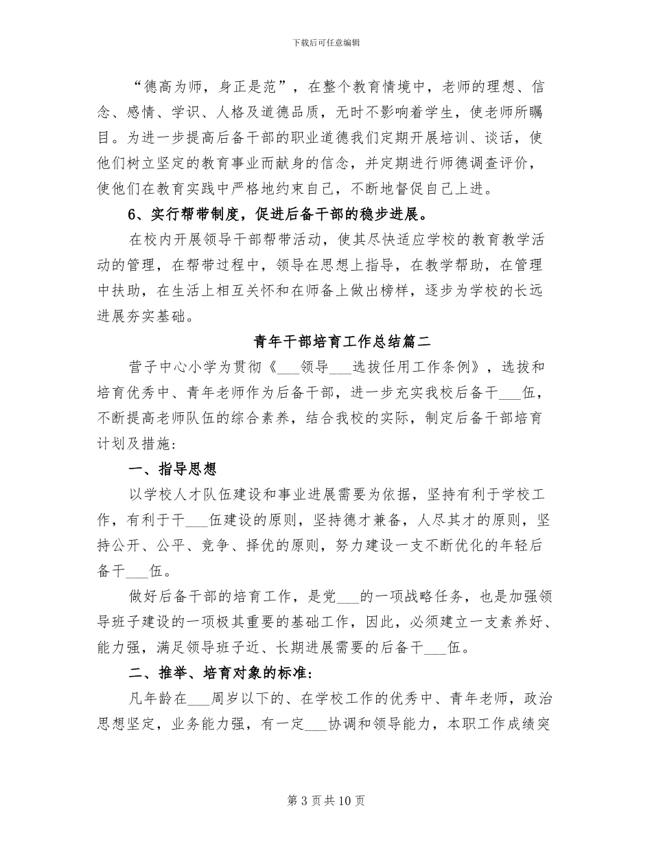 2024年青年干部培养工作总结_第3页