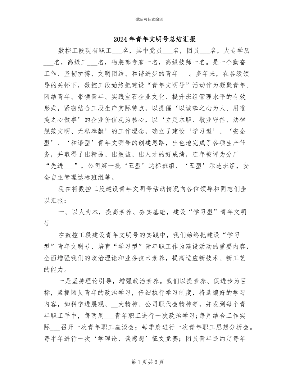 2024年青年文明号总结汇报_第1页