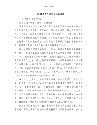 2024年青年文明号经验总结