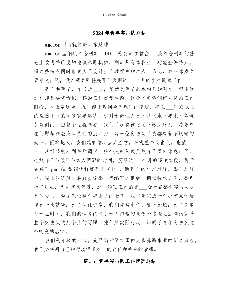 2024年青年突击队总结_第1页