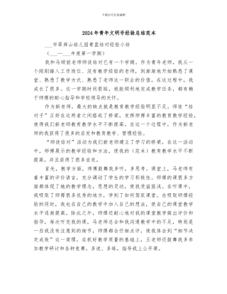 2024年青年文明号经验总结范本