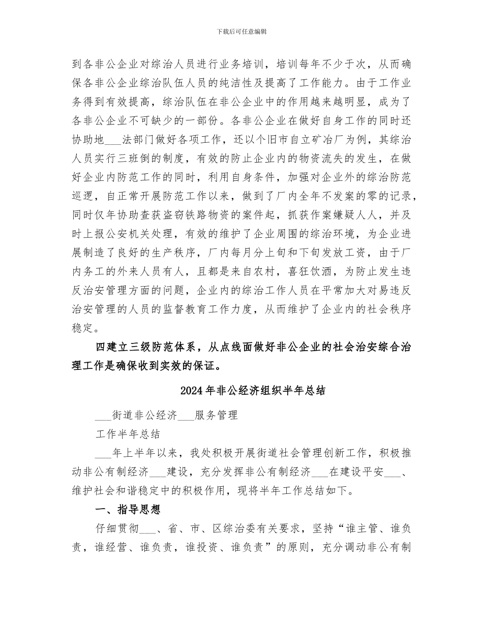 2024年非公经济工作总结_第3页