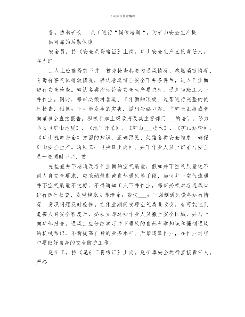 2024年非煤矿山安全生产工作总结范本_第2页