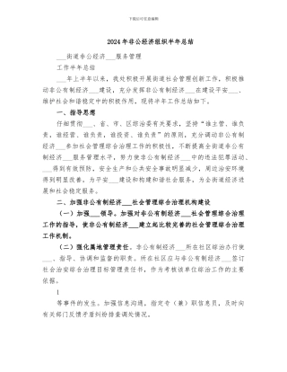 2024年非公经济组织半年总结