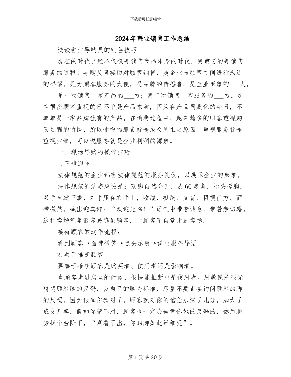 2024年鞋业销售工作总结_第1页