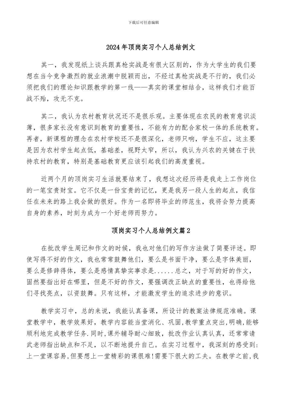 2024年顶岗实习个人总结例文_第1页