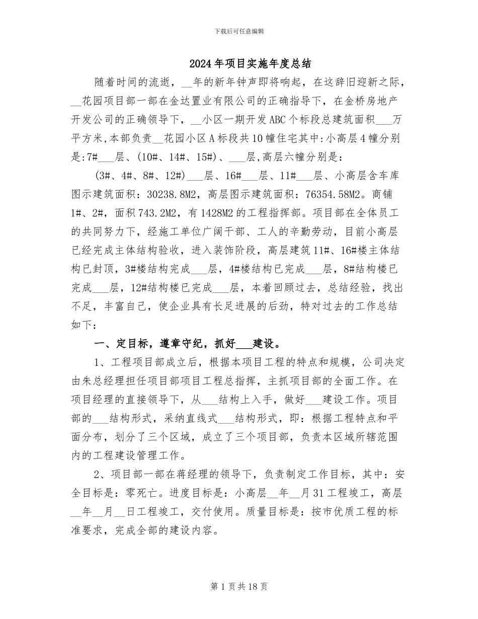 2024年项目实施年度总结_第1页