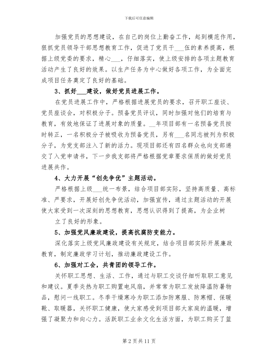 2024年项目书记工作总结_第2页