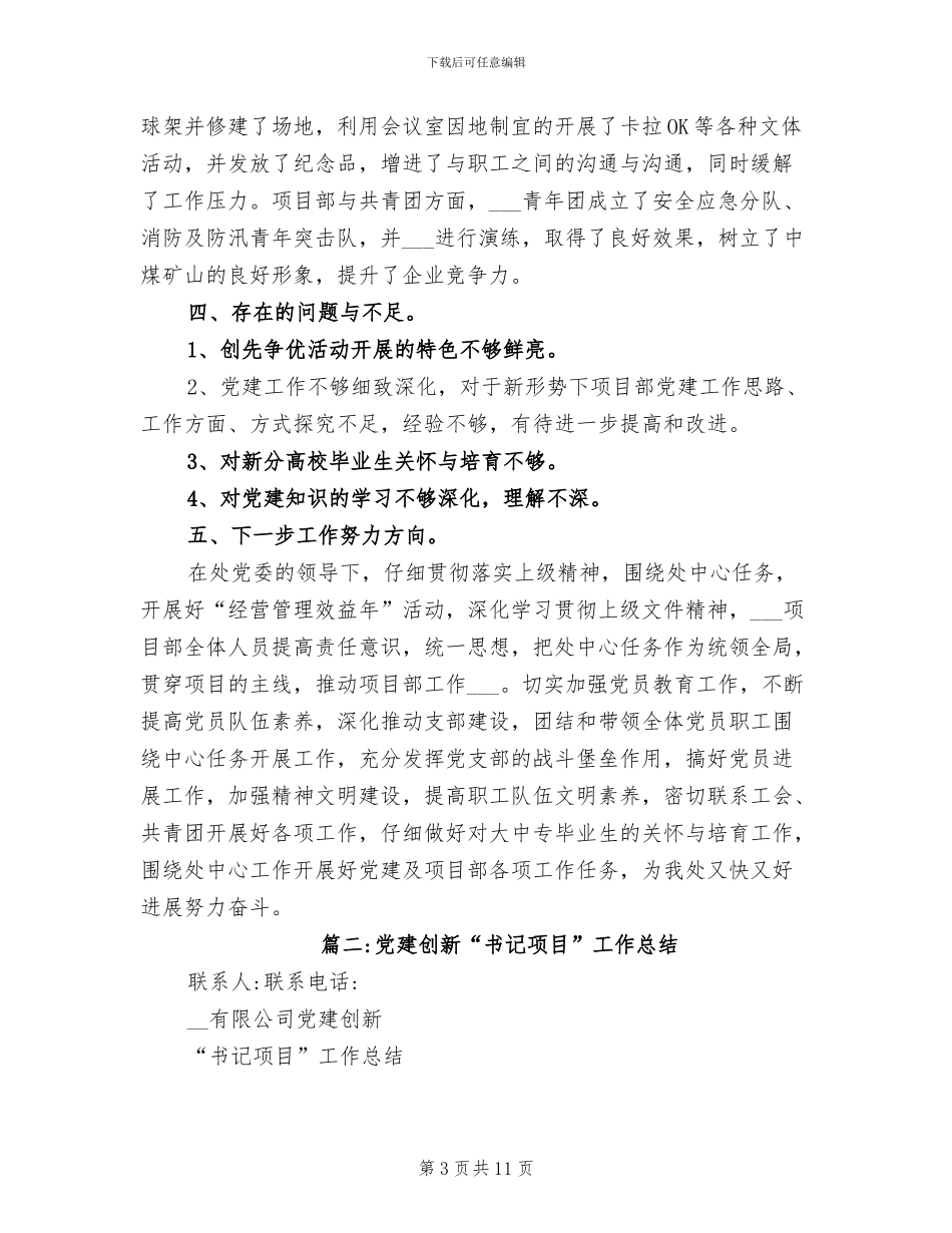 2024年项目书记工作总结_第3页