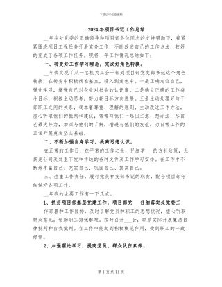 2024年项目书记工作总结
