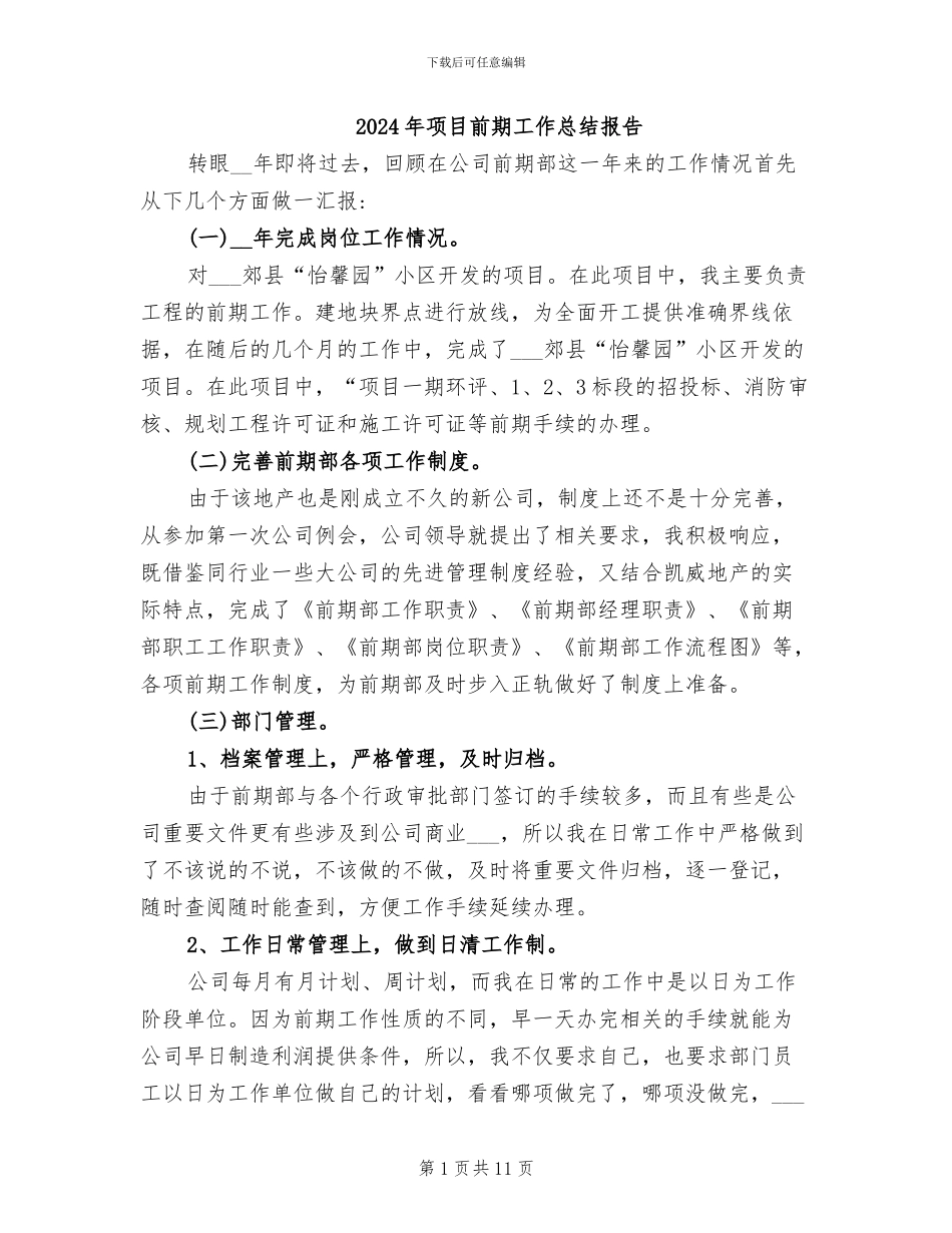 2024年项目前期工作总结报告_第1页