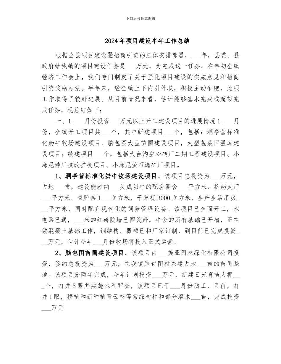 2024年项目建设半年工作总结_第1页