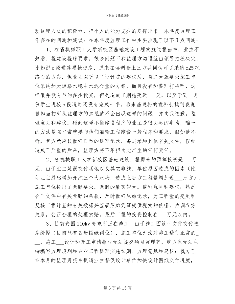 2024年项目总监个人年底总结报告_第3页