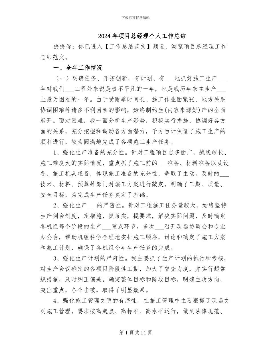 2024年项目总经理个人工作总结_第1页