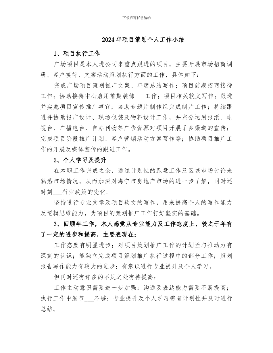 2024年项目策划个人工作小结_第1页