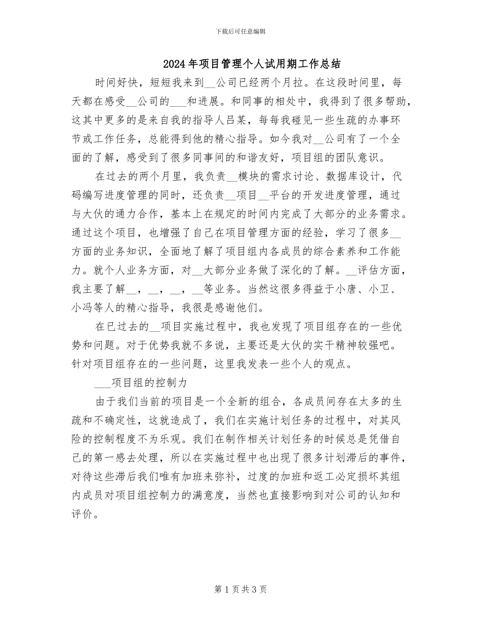 2024年项目管理个人试用期工作总结_第1页