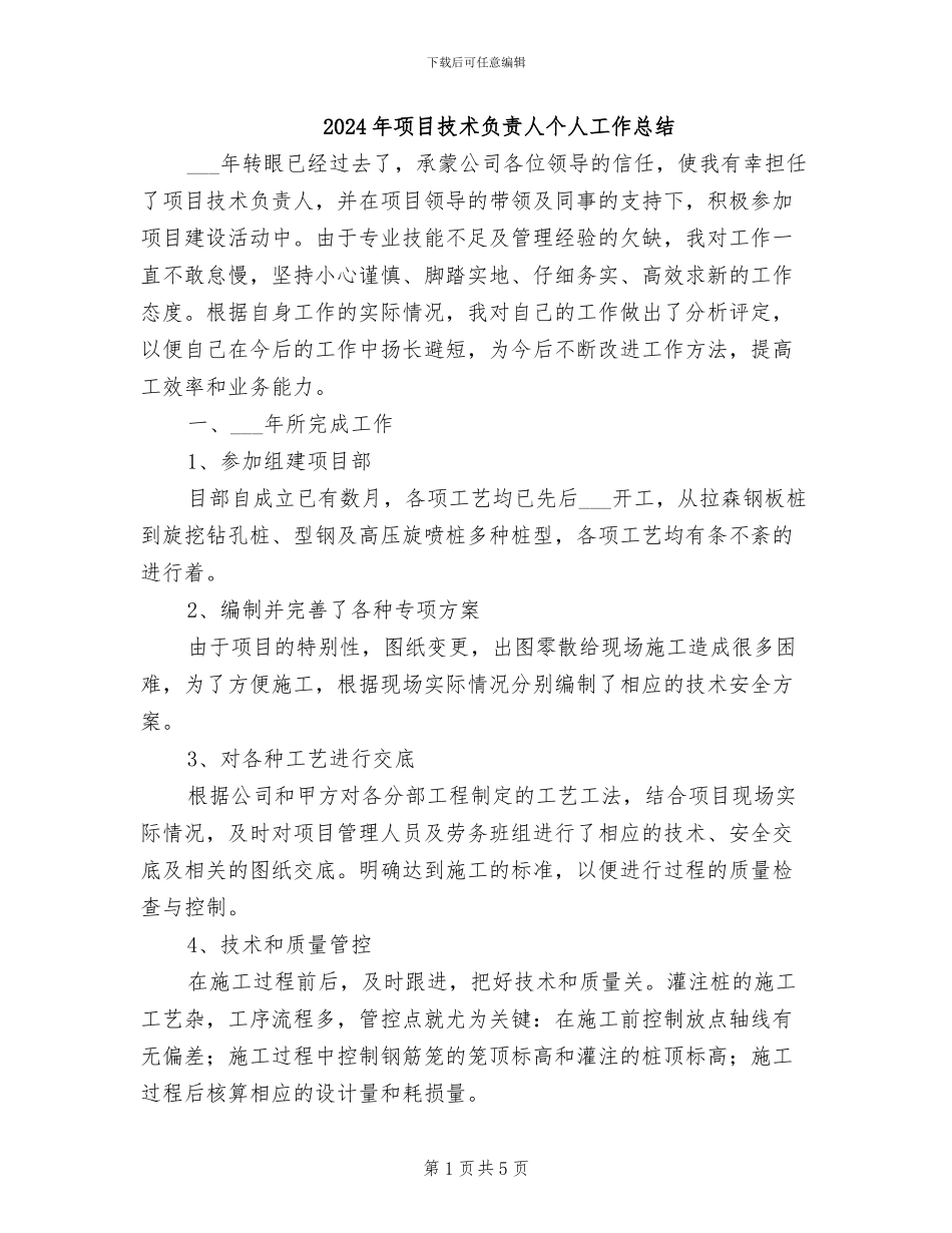 2024年项目技术负责人个人工作总结_第1页