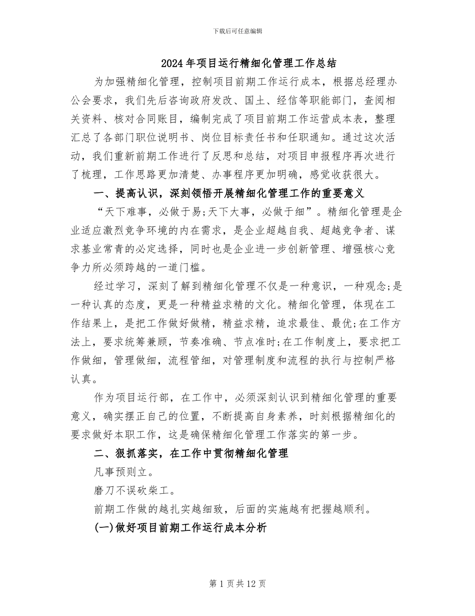2024年项目运行精细化管理工作总结_第1页