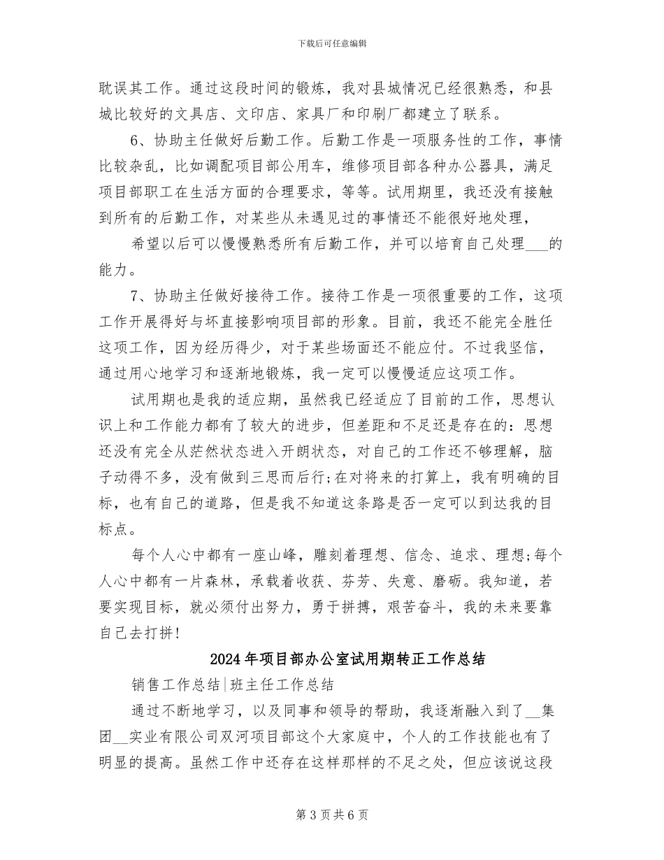 2024年项目部办公室试用期工作总结范文_第3页