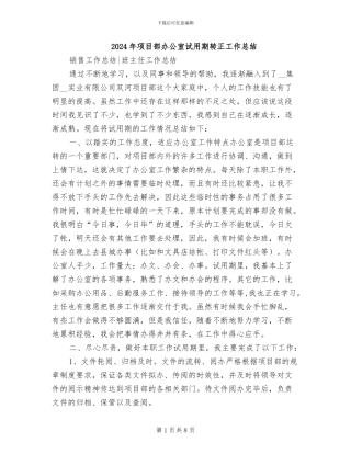 2024年项目部办公室试用期转正工作总结