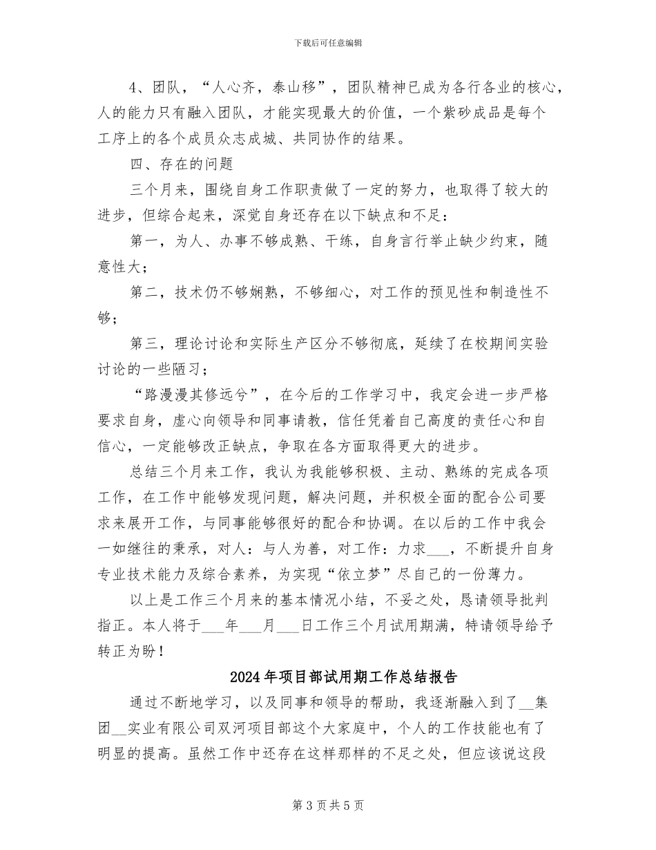 2024年项目部试用期工作总结_第3页