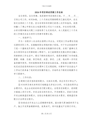 2024年项目部试用期工作总结