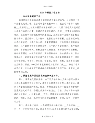 2024年顾问工作总结