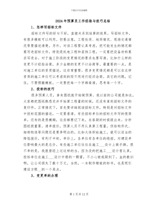 2024年预算员工作经验与技巧总结