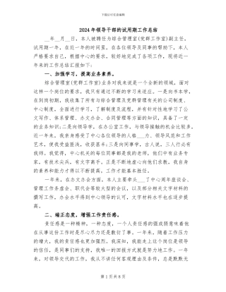 2024年领导干部的试用期工作总结