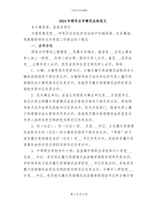 2024年领导点评情况总结范文