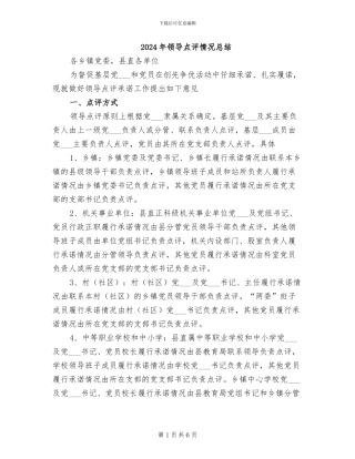 2024年领导点评情况总结