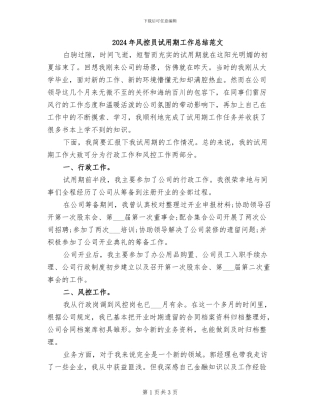 2024年风控员试用期工作总结范文