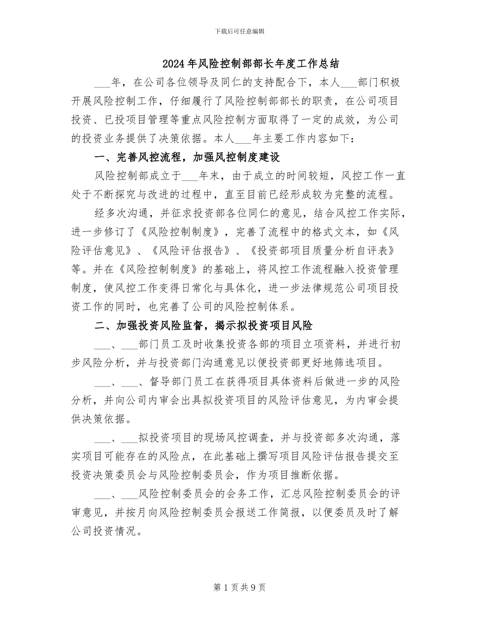 2024年风险控制部部长年度工作总结_第1页