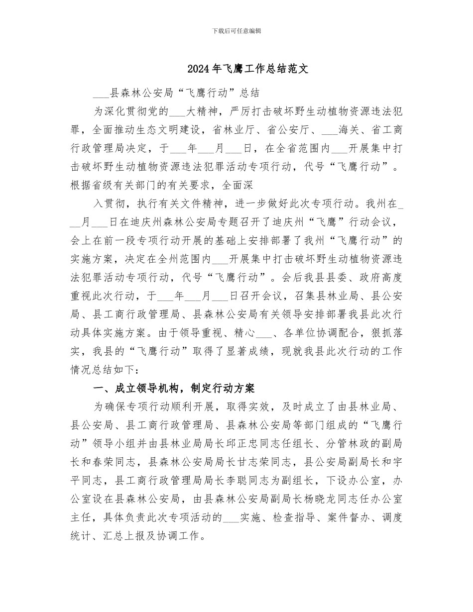 2024年飞鹰工作总结范文_第1页