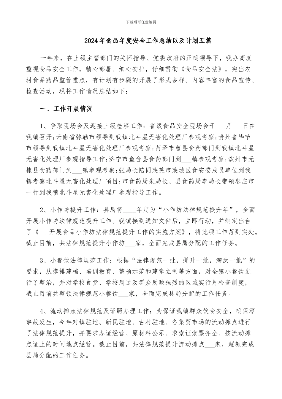 2024年食品年度安全工作总结以及计划五篇_第1页