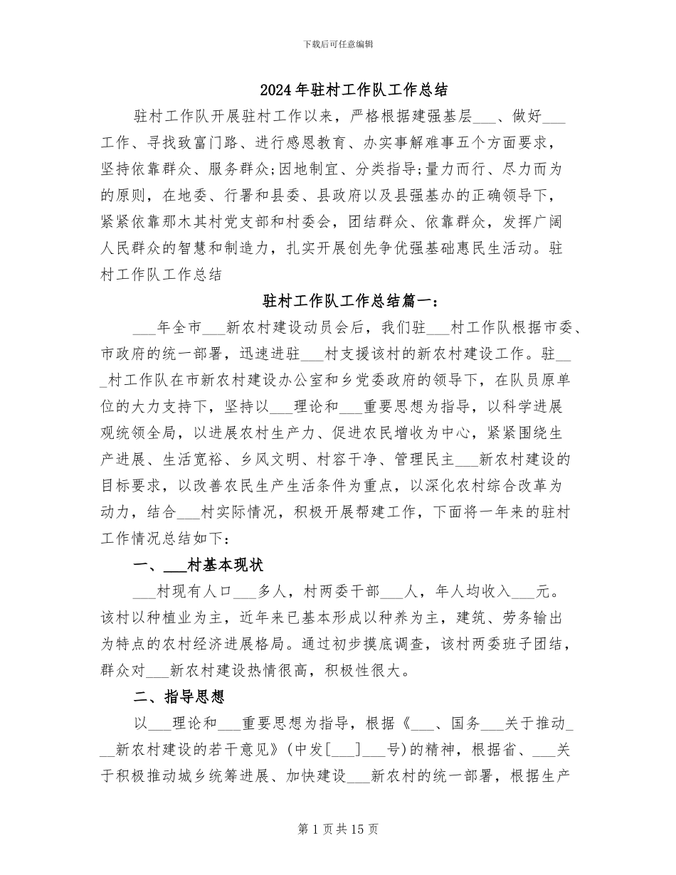 2024年驻村工作队工作总结_第1页