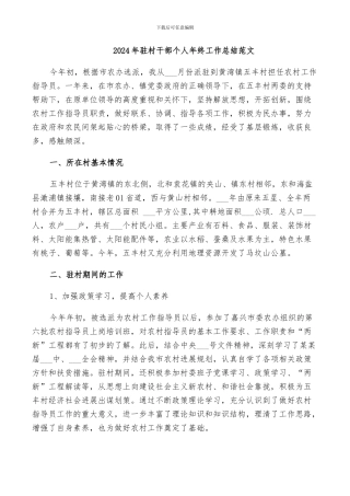 2024年驻村干部个人年终工作总结范文