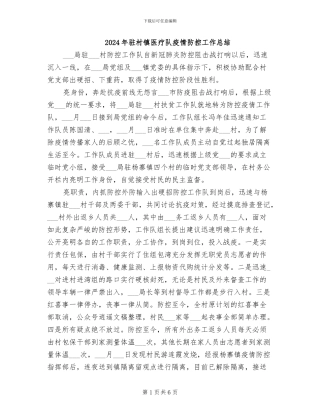 2024年驻村镇医疗队疫情防控工作总结
