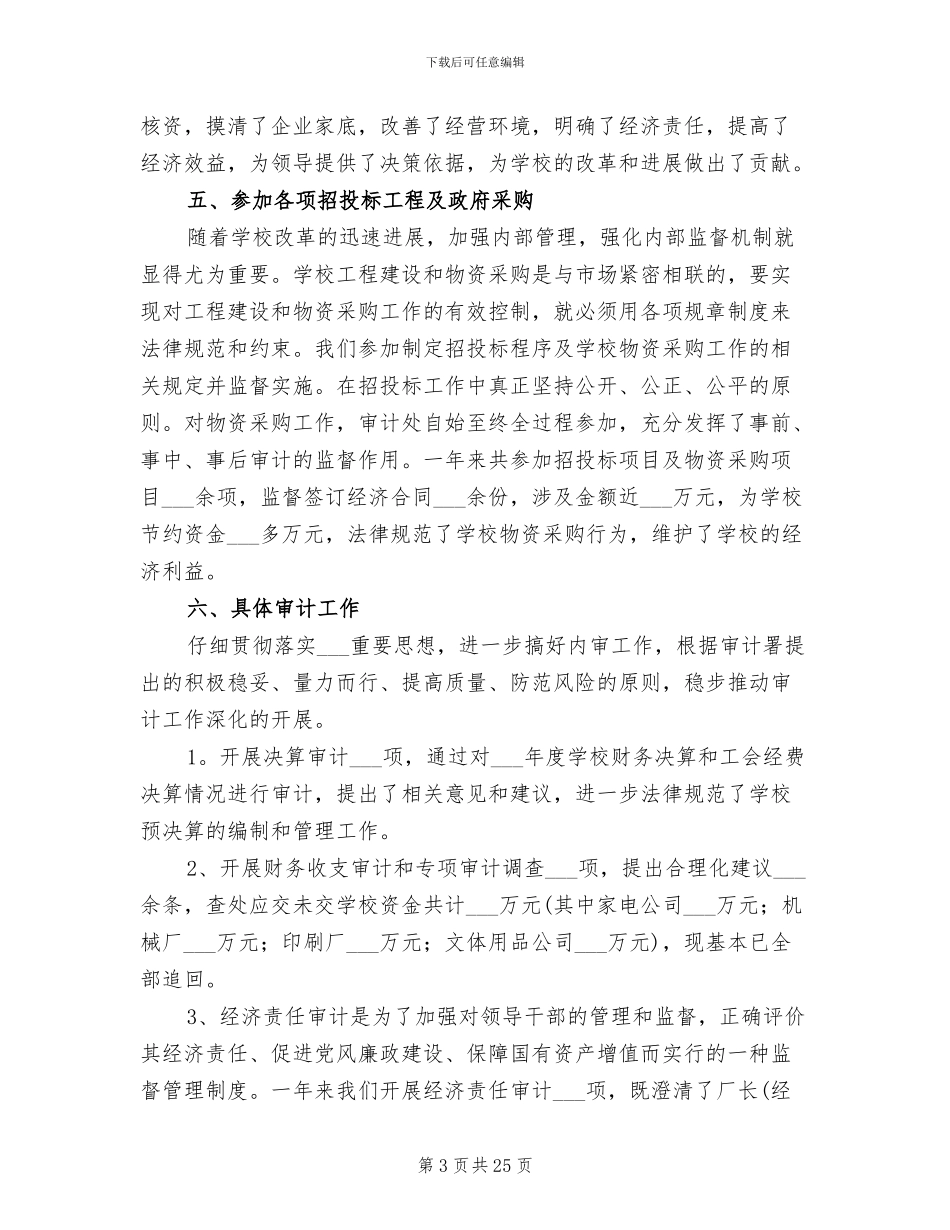 2024年高校审计工作总结范本_第3页