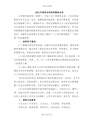 2024年高校教师挂职锻炼总结