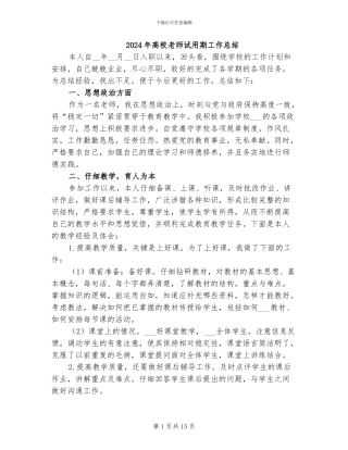 2024年高校教师试用期工作总结