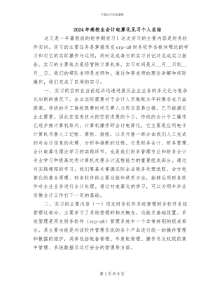 2024年高校生会计电算化见习个人总结