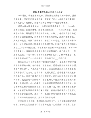 2024年高校生社会见习个人小结