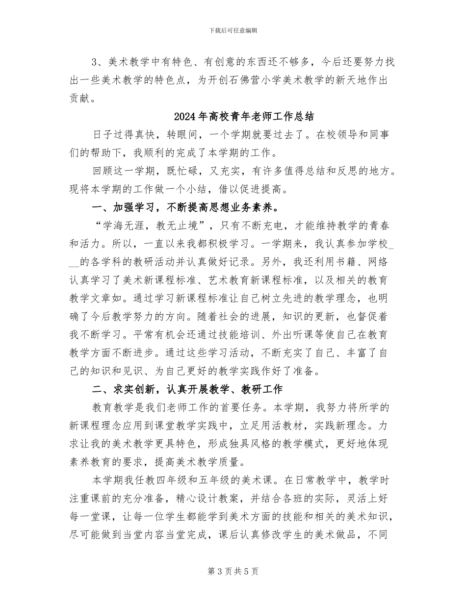 2024年高校青年教师工作个人总结_第3页