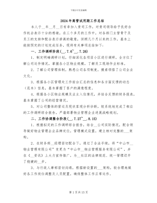 2024年高管试用期工作总结