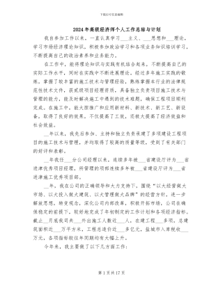 2024年高级经济师个人工作总结与计划