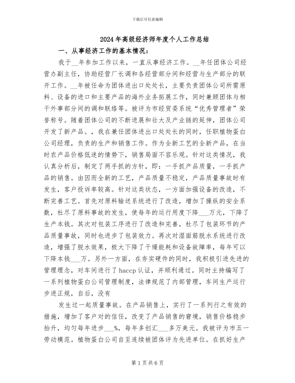 2024年高级经济师年度个人工作总结_第1页