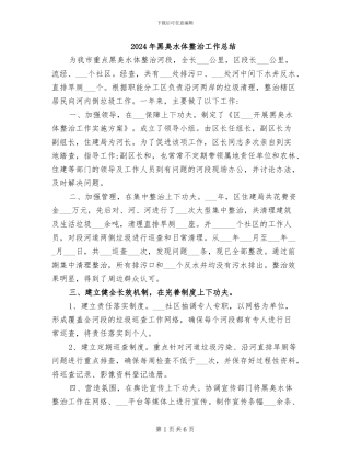 2024年黑臭水体整治工作总结