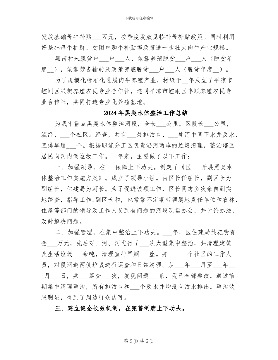2024年黑南村工作总结_第2页