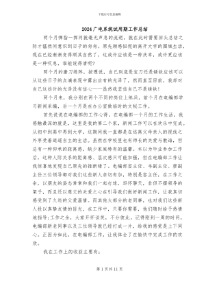 2024广电系统试用期工作总结